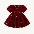 Margaux Velvet Dress
